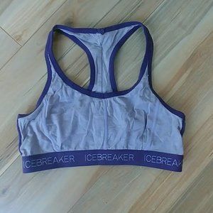 Icebreaker Merino Wool Sprite Sports Bra M purple